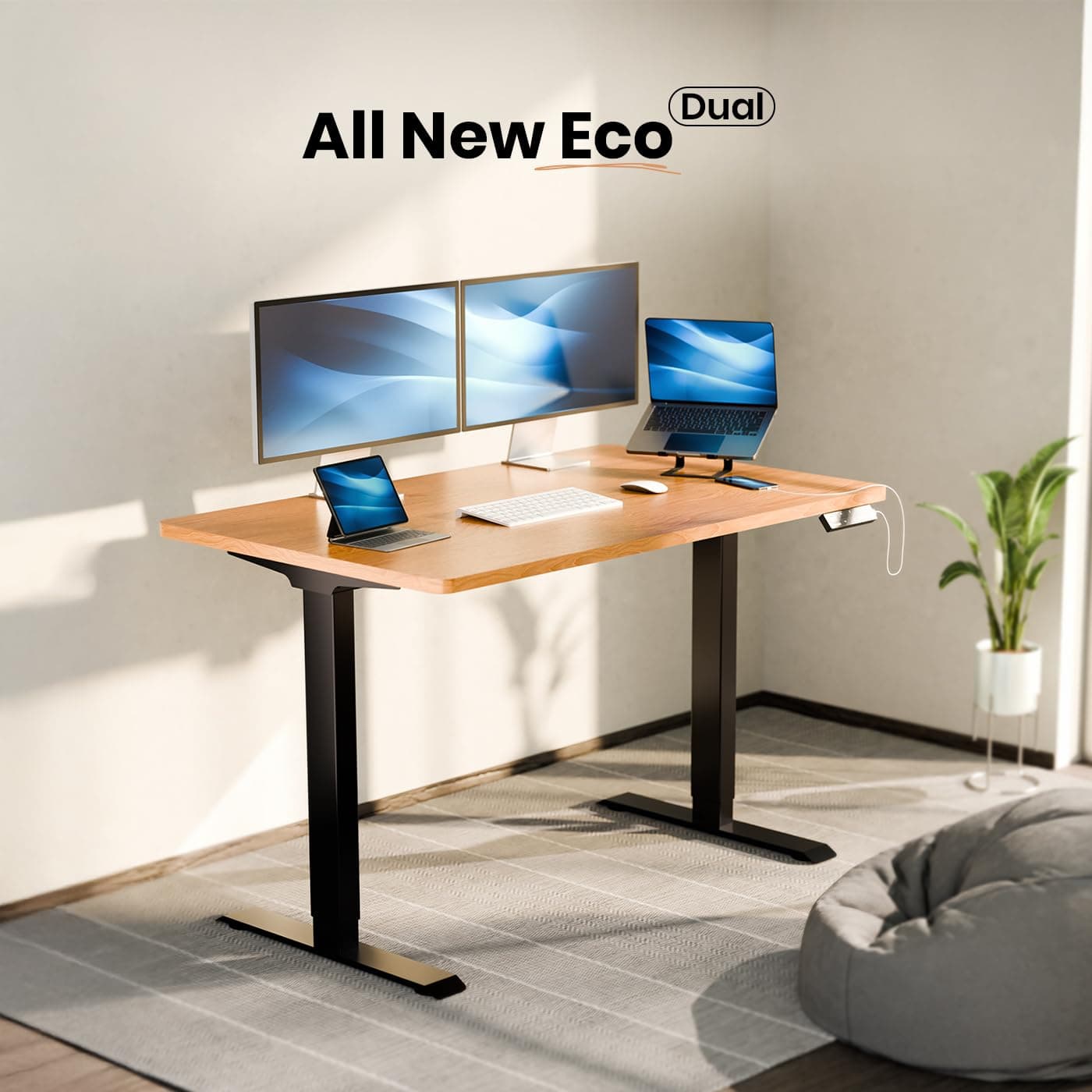 Intellidesk Eco Dual Electric Height Adjustable Standing Desk — Dual Motor, 4 Memory Presets, 120kg